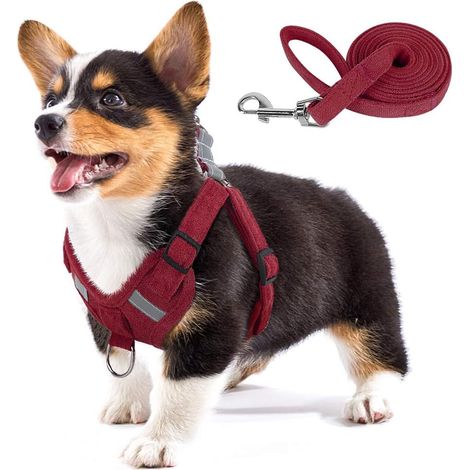 1 Harnais pour chien, tissu suédé doux, gilet réglable anti-traction, bandes réfléchissantes, petit et moyen chien (1/5)