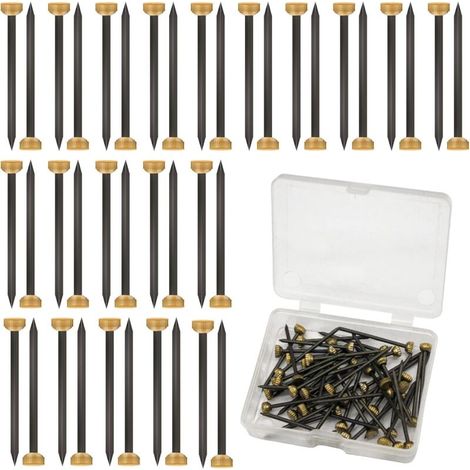 Packung mit 50 Fotoaufhängernägeln mit 4 mm Messingköpfen zum Aufhängen von Fotos, inklusive Aufbewahrungsbox aus Kunststoff (1/4)