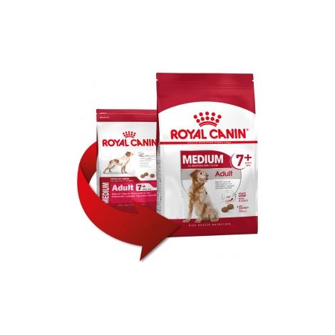 Royal Canin SHN Dog Medium Adult 7+ - Sacco 4 Kg - Cibo Secco Cani