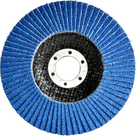 Lot de 2 Disques à lamelles, 125 mm, Grain 40, Pour meuleuse d'angle, Ponçage métal (1/5)