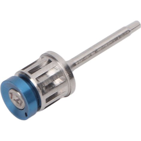 Tournevis pour implants dentaires professionnel en acier inoxydable, portable, 25mm, pour hôpital et clinique dentaire. (1/5)
