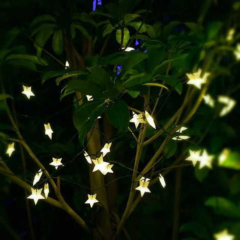 Guirlande lumineuse solaire en forme d'étoile pour extérieur, guirlande lumineuse féérique scintillante pour jardin, pelouse, terrasse, aménagement paysager, décorations de Noël et des fêtes (1/5)