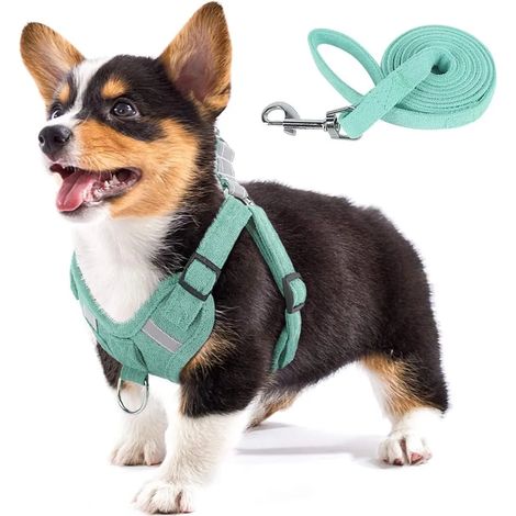 Hundegeschirr aus weichem Wildlederimitat, verstellbarer Schrittbereich mit reflektierenden Details und Zugstopp für Welpen und kleine bis mittelgroße Hunde