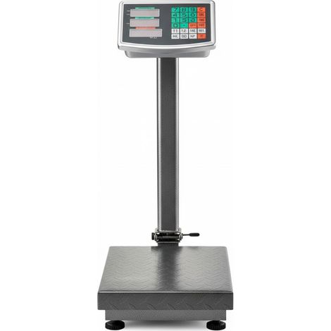 Bilancia Digitale Industriale 300 kg Con Piattaforma 40 X 50 Cm Display LCD Retroilluminato ad Asta Pieghevole In Acciaio Inox Batteria Ricaricabile 20h e Spegnimento Automatico Argento (1/5)