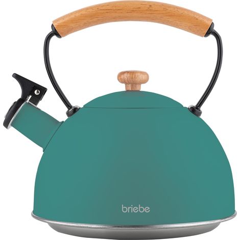 Briebe Nordic Bouilloire à Induction Théière Sifflet 2,3L Acier Inox., Poignée en Bois Vert