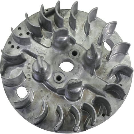 Brigg & Stratton Bobina elettronica Volano EX 796617  796619 (1/3)