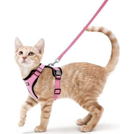 Harnais Chat Petit Chien Laisse Harnais Chaton Réglable Rose XS Collier Harnai Chat Refléchissant Gilet Respirant pour Lapin, Chat Européen, Maine Coon, Persan, Attache Dessus avec Laisse-Enlé