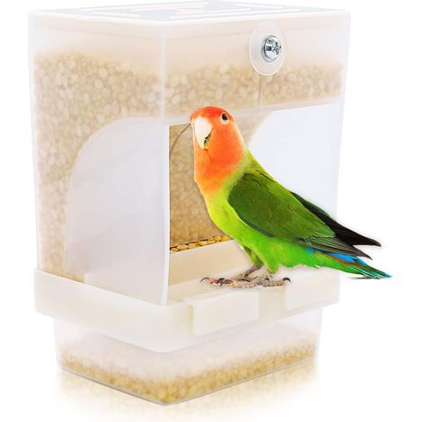No-Mess Bird Feeder - Mangeoire automatique intégrée pour oiseaux de petite à moyenne taille (1/5)