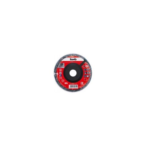 DISCO LAMELLARE IN ZIRCONIO DIAM. 125 MM GRANA 40 CON SUPPORTO IN PLASTICA