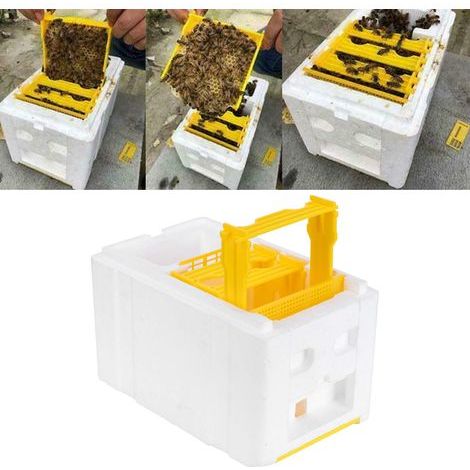 Boîte d'accouplement pour reines abeilles Mini Ruche en mousse haute densité, équipement apicole pour pollinisation (1/5)