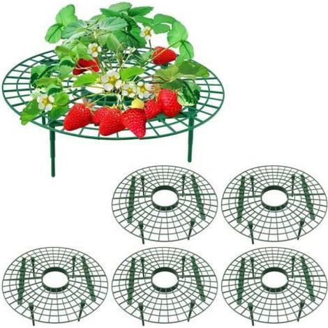 Set of 5 strawberry frames - Adjustable 4-leg support - Slug protection - For plants