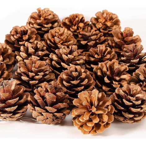36 Pomme de pin, 3-4cm, naturel, séché, décoration table, arbre de Noël, mariage, bricolage