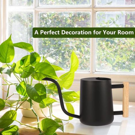 Arrosoir décoratif pour plantes d'intérieur, en acier inoxydable, avec long bec verseur, noir (1/4)