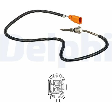 Capteur, température des gaz Delphi Technologies TS30106 AUDI 03G906088AG