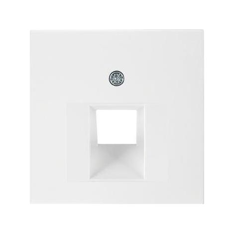 Berker Zentralstück pws/gl f.UAE-Dose 14078989 (1/5)