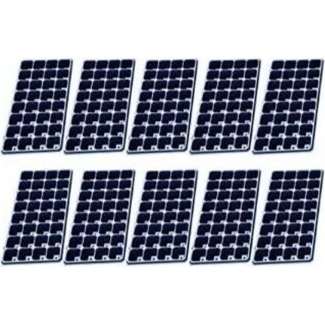 Growing set, 10-pack seedling tray, 32-cell seedling tray, starter tray, planting container, seedling tray (1/4)