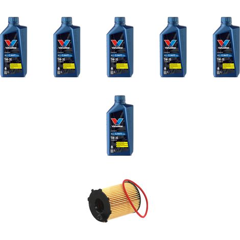 Kit filtro olio e 6L compatibile con Hyundai Santa FE II 2.2 CRDi 114kw dal 2006 (1/3)