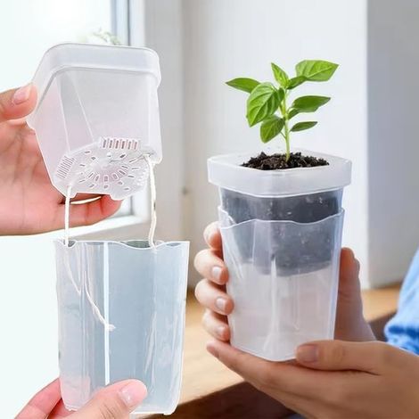 2 macetas transparentes con sistema de autorriego y mecha de doble capa para macetas, cultivo de plantas, plántulas, pequeñas (1/4)