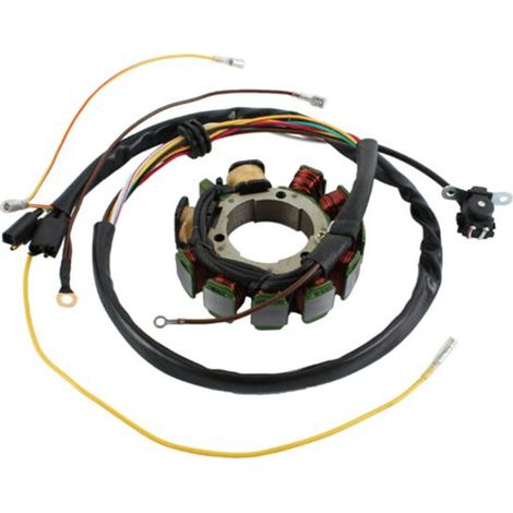 Die Teilenummern 3085561 und 3086821 sind für Statorspulen des Polaris Sportman (Baujahre 98-01) geeignet. (1/4)