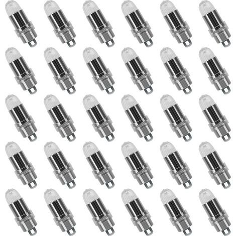 30PCS LED Ballons Lampes Lumineuses Blanc Chaud pour Lanterne Papier Décoration Mariage,Fête [Classe énergétique A+] (1/5)