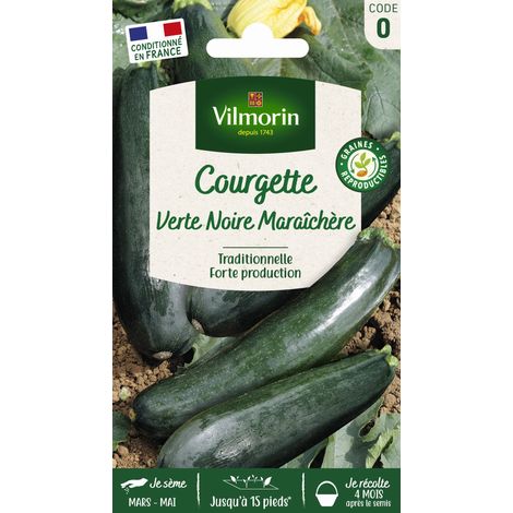 Graines de courgette verte noire maraîchère – Variété précoce non coureuse – Forte production – Période de semis : avril à juin – Vilmorin