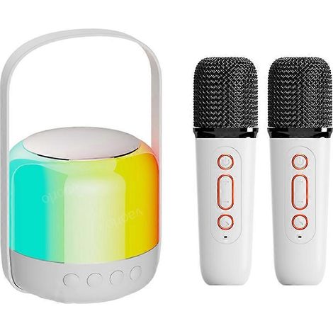 Enceinte Bluetooth 5.3 avec éclairage RGB, double microphone sans fil, système DSP et son surround stéréo Hi-Fi 3D, idéale pour le karaoké KTV. (1/5)