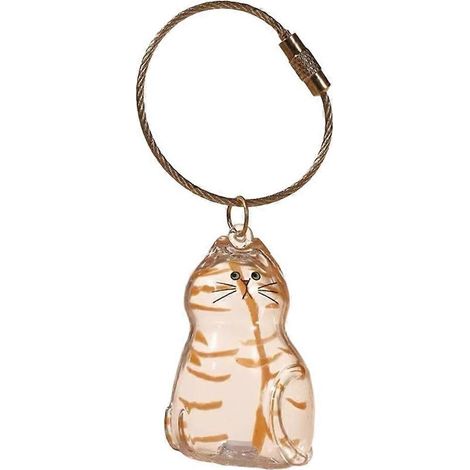 Boîte de rangement transparente pour poils d'animaux, contenant souvenir pour poils de chat, décoration à faire soi-même, souvenir pour les amoureux des animaux, C (1/5)