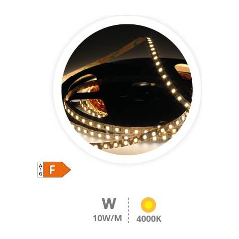 Rollo 10M tira LED zig-zag 10W/M 4000K 24V (1/5)