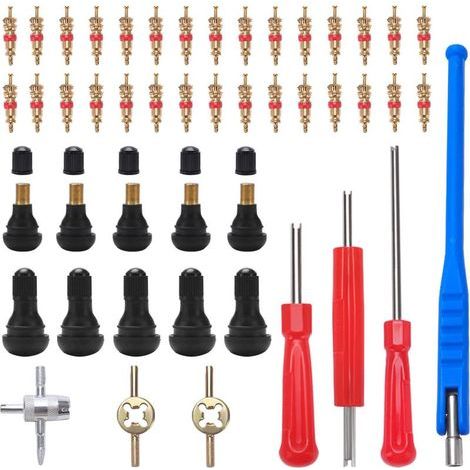 47 Pièces TR412 Demonte Valve de Pneu Outil, avec Valve Souches Puller, Noyaux de Valve en Cuivre Pur, Extracteur de Noyau de à Unique et Double, TR412 Valve Enfichable, pour Voiture, Moto (1/5)