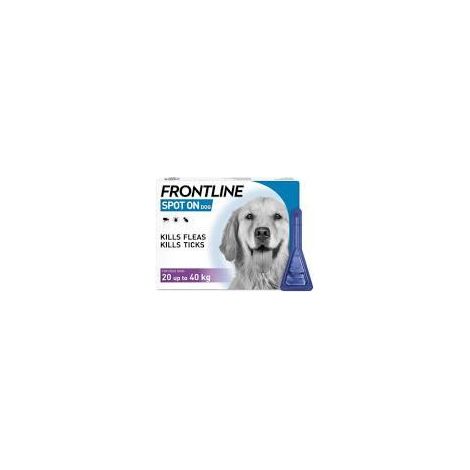 FRONTLINE Spot On Dog Large - 1 pipette - 1s - 342170