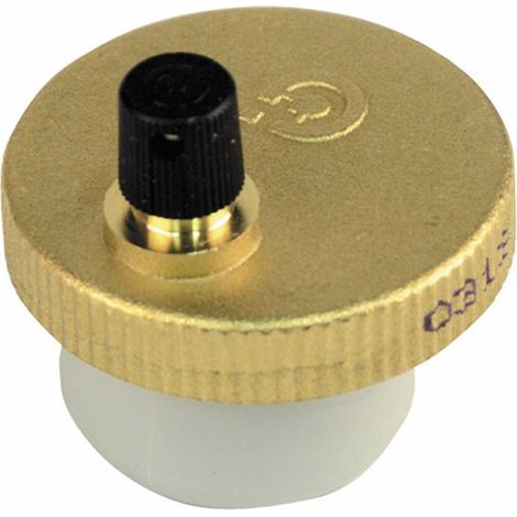 Purgeur automatique BICÉRAME - DIFF pour Frisquet : F3AA40890 (1/5)