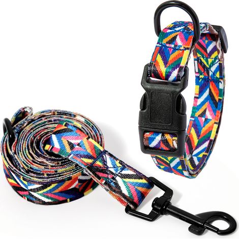 Collier Chien - Laisse Chien - Ensemble Collier et Laisse en Polyester avec Boucle Métallique - Pour Chiens Moyens et Petits - Taille M (26-42 cm) - 1 Pièce (1/5)