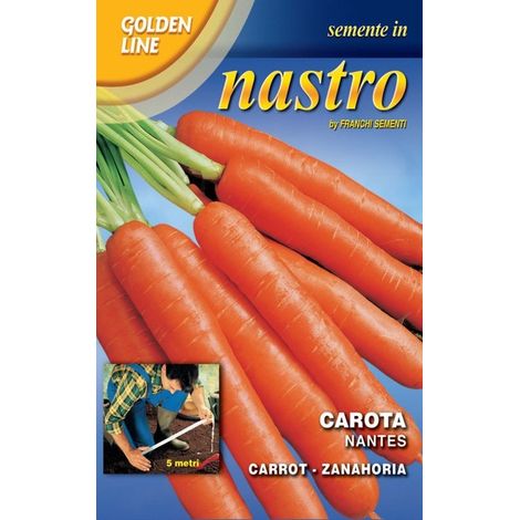 BUSTINA NASTRO SEMI DI CAROTA NANTES (1/2)