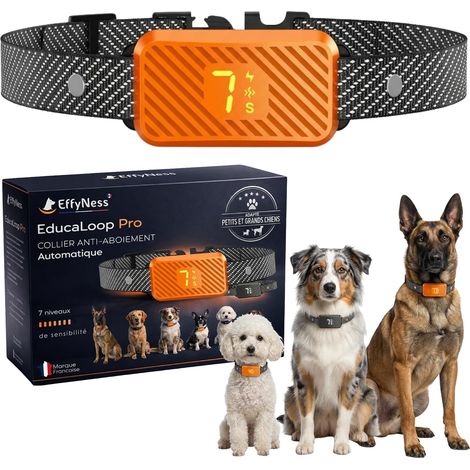 Sac de transport pour chat 34x44x31cm – Oxford 600D léger et durable – Charge max 6,3kg – Bandoulière amovible et coussin lavable
