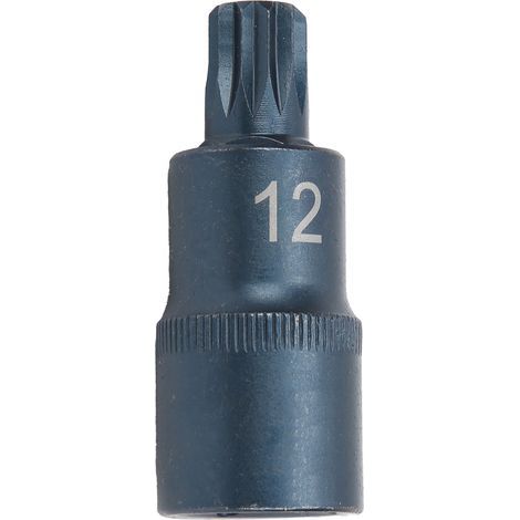 Steckschlüssel aus legiertem Stahl, brüniert, 12-kant, 1/2"-M12-Antriebsanschluss, Bitadapter (1/5)