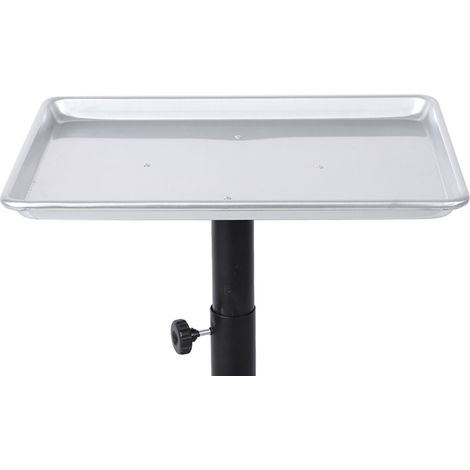 Chariot de Coiffure Aluminium Réglable en Hauteur pour Salon, Plateau à Outils Esthétique, Sans Gobelet, Argenté, Praticien Professionnel (1/5)