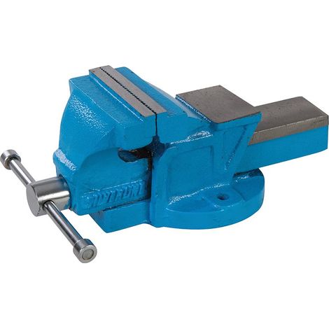 Ingenieurs Schraubstock 100 mm