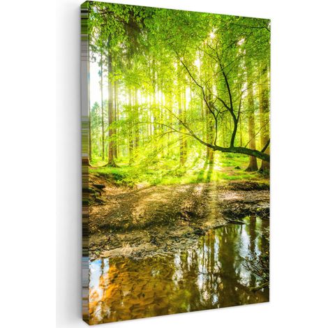 TABLEAU SUR TOILE Forêt - Paysage - Eau - Arbres - Soleil - Vert - Nature Tableau Chambre Adulte 90x140 cm