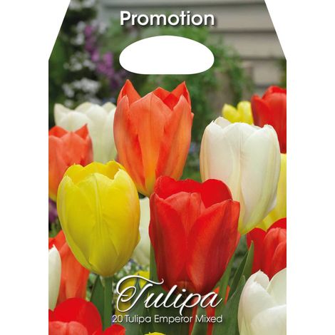 Mix Bulbi di Tulipano Emperor 20 Bulbi