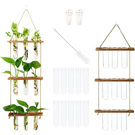 Vase Hydroponique 3 Étages - Suspension en Verre Avec Support en Bois Pour Plantes - Tube à Essai Pour Décoration de Bureau, Jardin et Maison (1/5)
