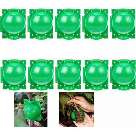 10 boules d'enracinement pour plantes - Boîte de greffe de jardin - Boîte d'enracinement pour semis - Boules de semis - 12 cm, vert (1/5)