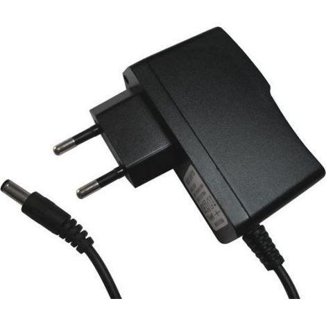 Alimentatore a spina 12 Vdc 1 A per telecamere