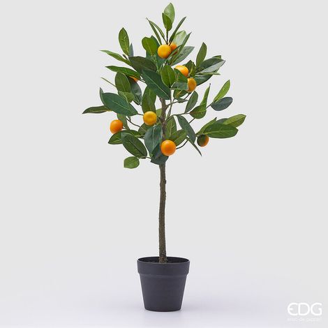 EDG Enzo De Gasperi Mandarino con Vaso H 76 Cm Pianta Artificiale Mix Verde