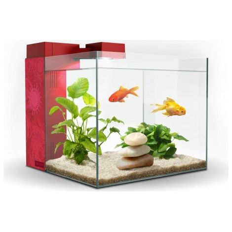 ACUARIO ZENEO 30 JUNGLE