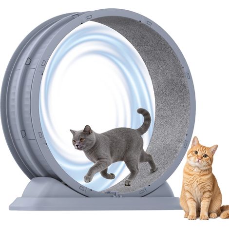 Rueda de ejercicio para gatos, rodillo silencioso, fácil de limpiar, gris (pf) (1/2)