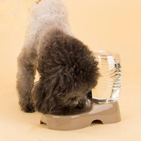 Distributeur automatique de nourriture pour chiens et chats, gamelle d'eau à gravité, distributeur d'eau en plastique pour chiens. (1/5)