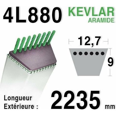 Cinghia AYP 144200 (1/3)