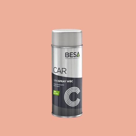 Bombe de Peinture RAL Effect 420-1  Mat