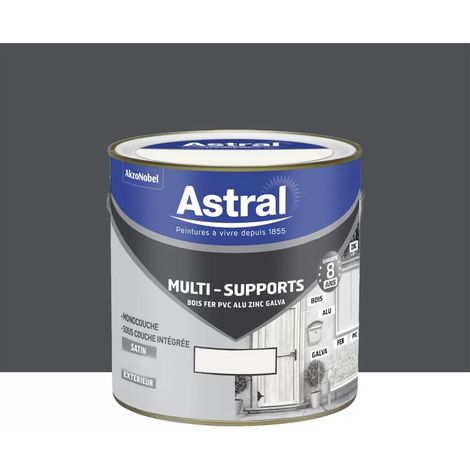 Peinture multi-supports extérieur ASTRAL Gris Sombre 0,5 L (1/2)