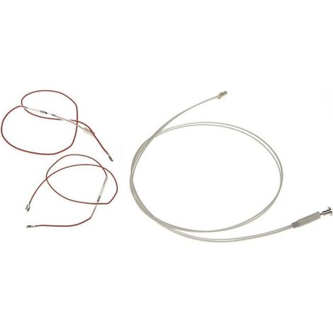 Lot de 2 fusibles et sonde chaudière